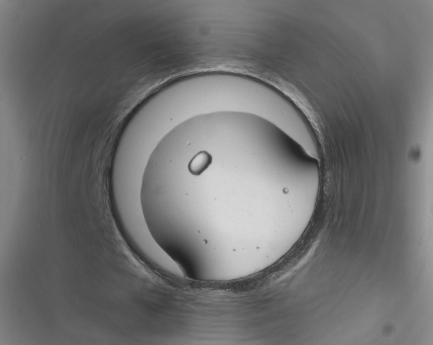 X0000116670577201001111313