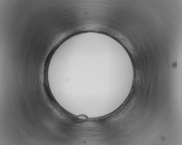 X0000116670578201001111313