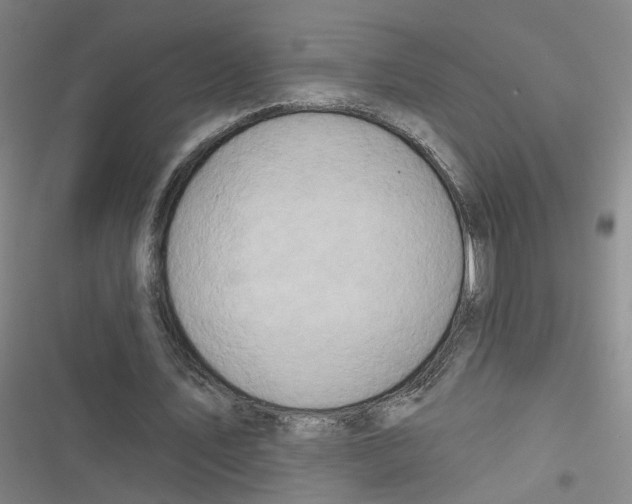 X0000116670579201001111313