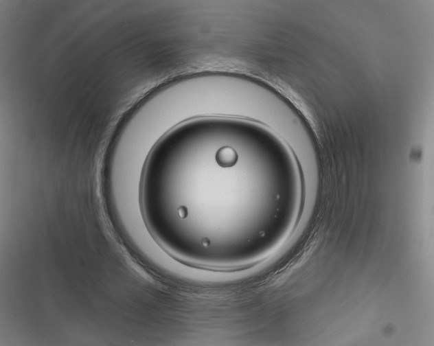 X0000116670581201001111313