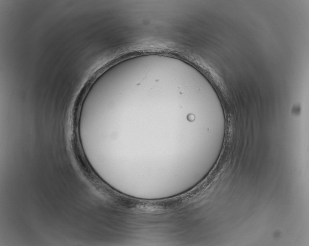 X0000116670582201001111313