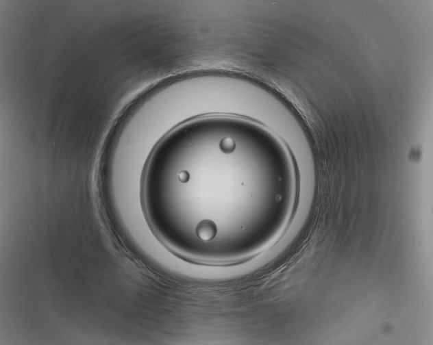 X0000116670583201001111313