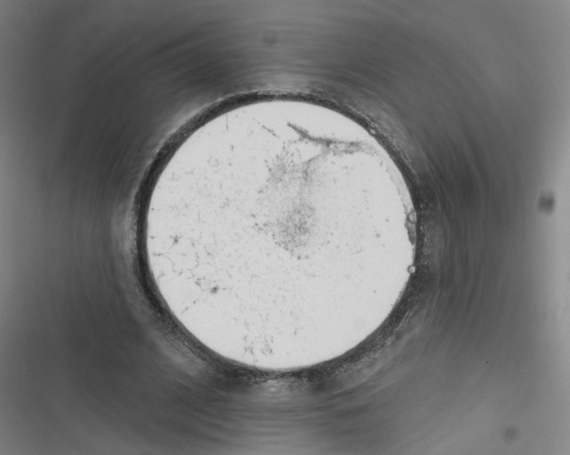 X0000116670584201001111313