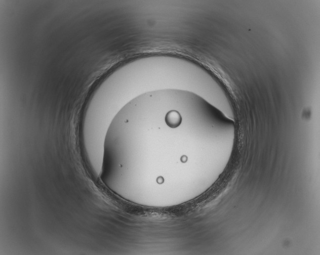 X0000116670585201001111312