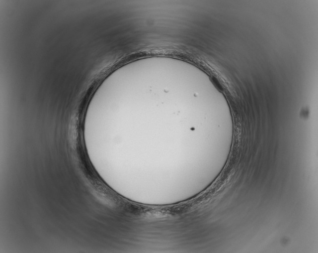 X0000116670586201001111312