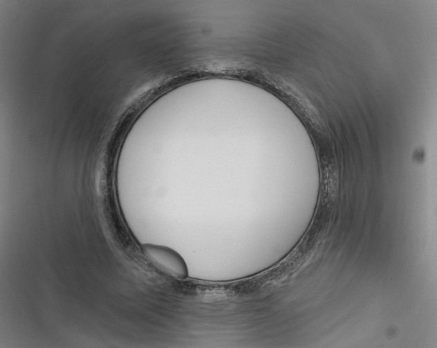 X0000116670587201001111312