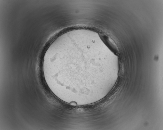 X0000116670588201001111312