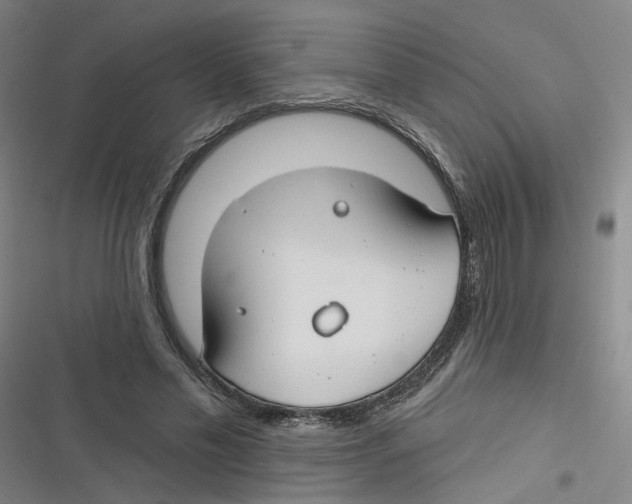 X0000116670589201001111312