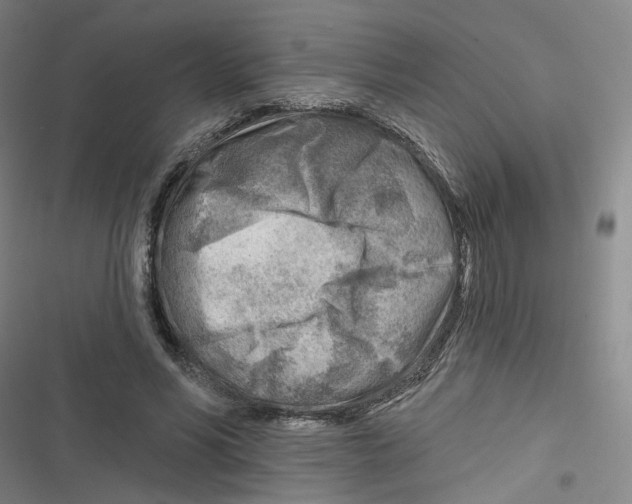 X0000116670590201001111312