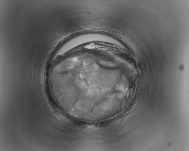 X0000116670592201001111312