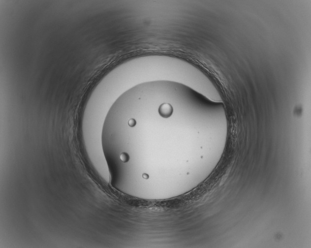 X0000116670593201001111312