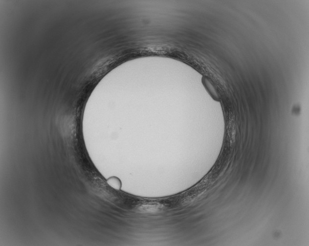 X0000116670595201001111312