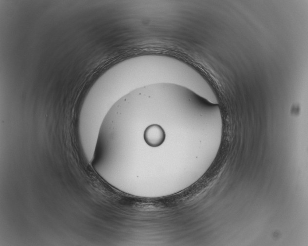 X0000116670597201001111312