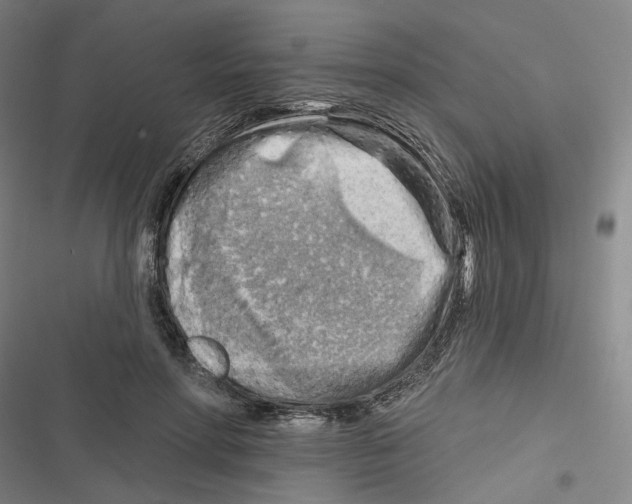 X0000116670598201001111312