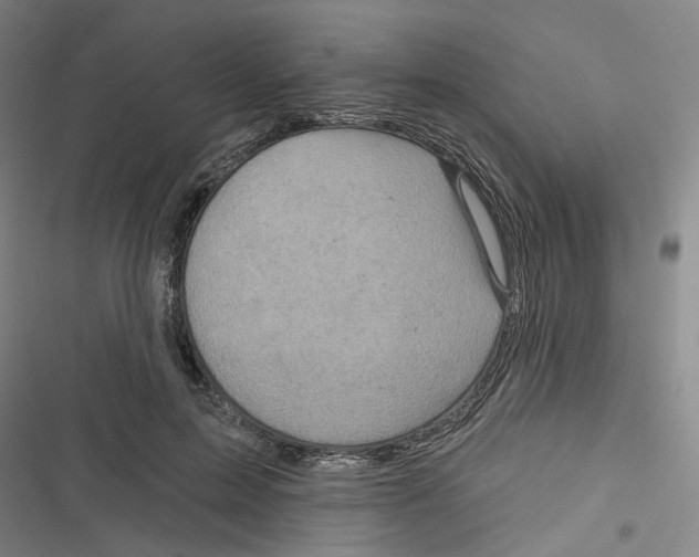 X0000116670599201001111312