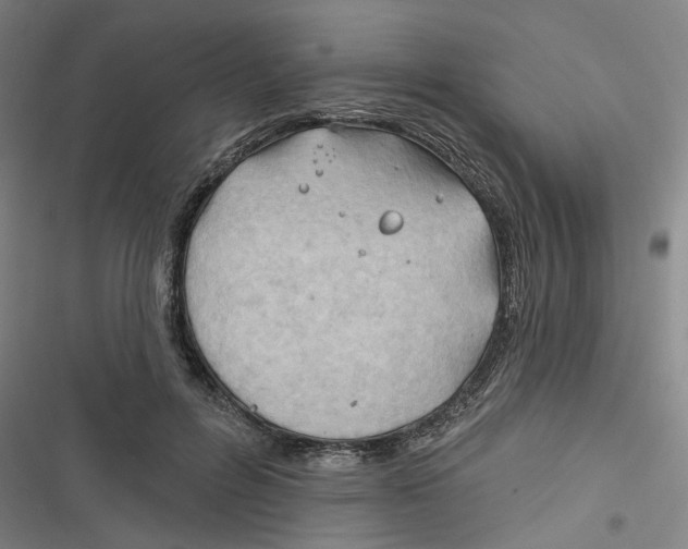 X0000116670600201001111312