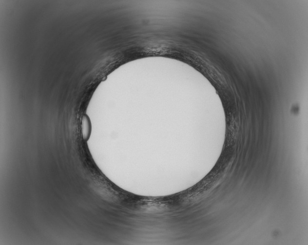 X0000116670601201001111312