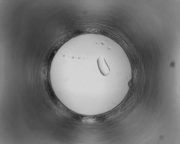 X0000116670602201001111312