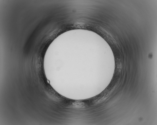 X0000116670603201001111312