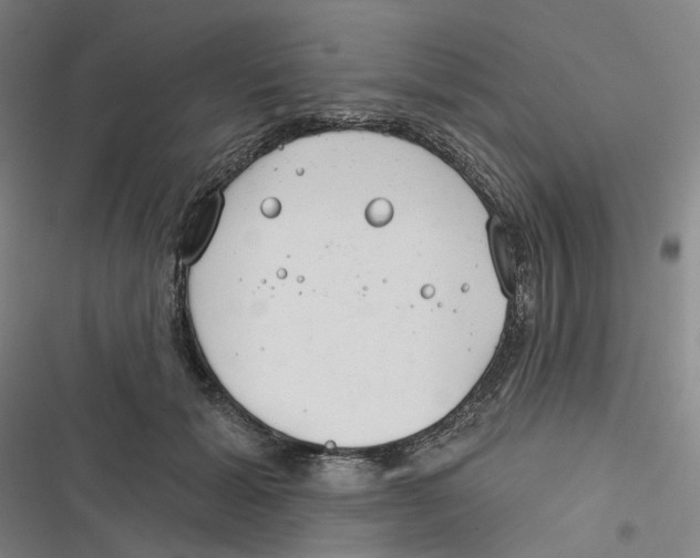 X0000116670605201001111312