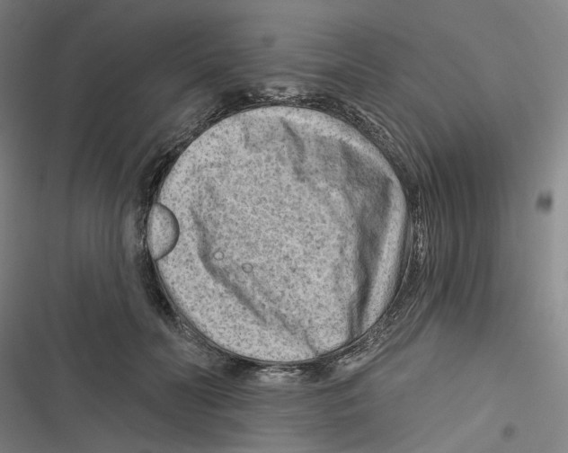 X0000116670606201001111312