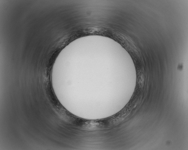 X0000116670607201001111312