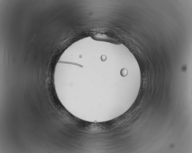 X0000116670608201001111312