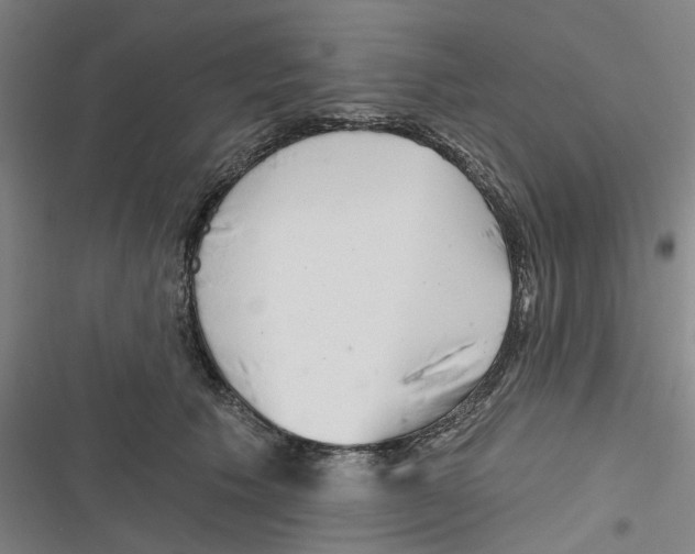 X0000116670609201001111312