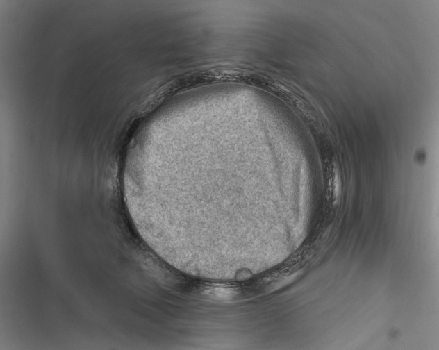 X0000116670610201001111312