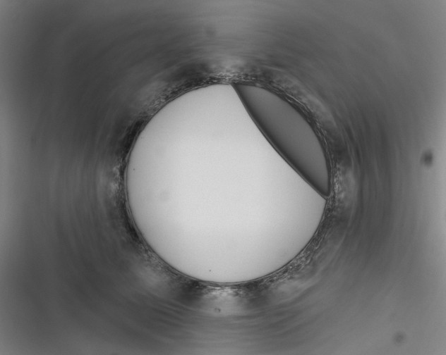 X0000116670611201001111312