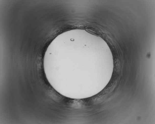 X0000116670612201001111312