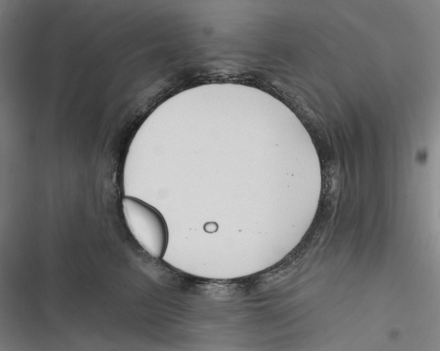 X0000116670615201001111312