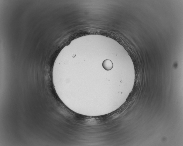 X0000116670616201001111312