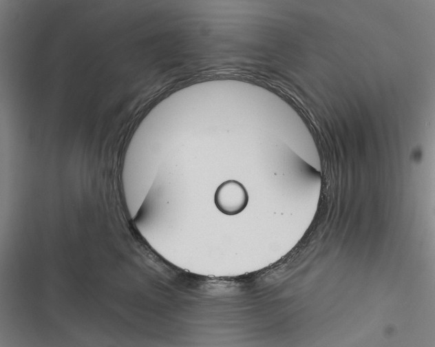 X0000116670617201001111312