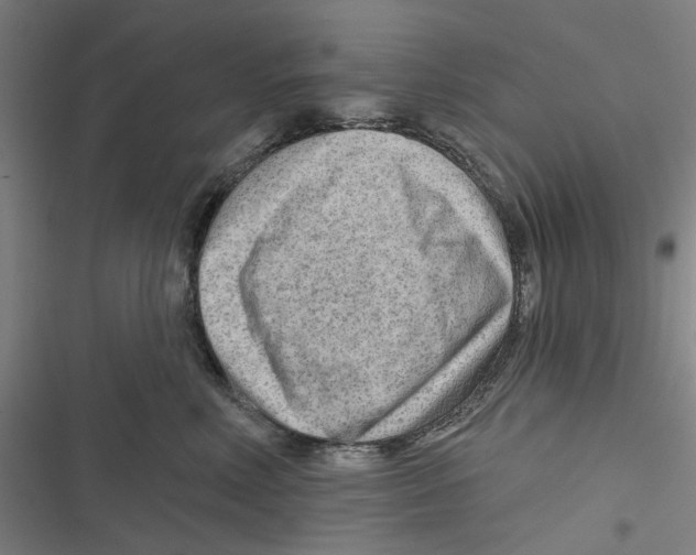 X0000116670618201001111312