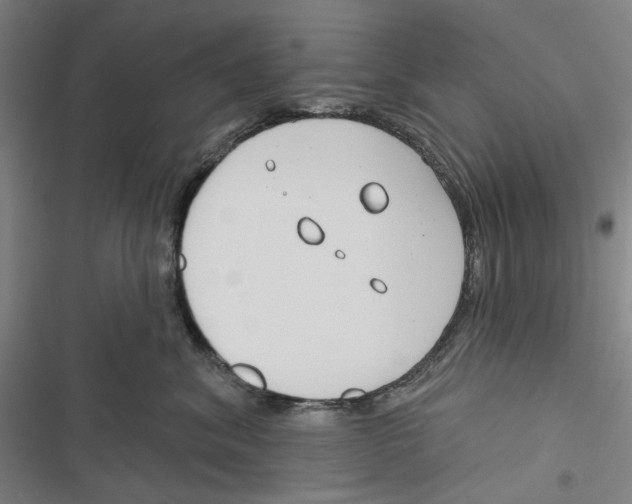 X0000116670620201001111312