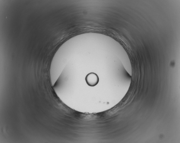 X0000116670621201001111312