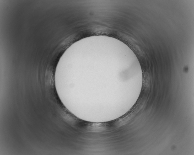 X0000116670622201001111312