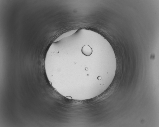 X0000116670624201001111312