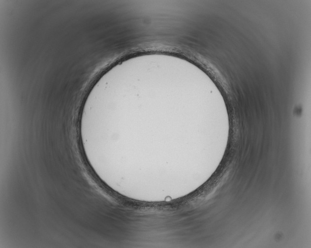 X0000116670625201001111311