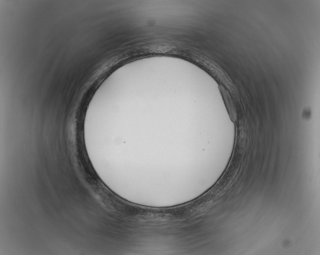 X0000116670626201001111311