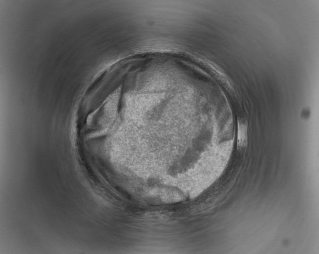 X0000116670627201001111311