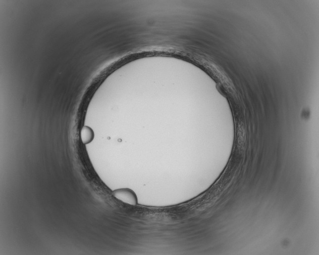 X0000116670628201001111311