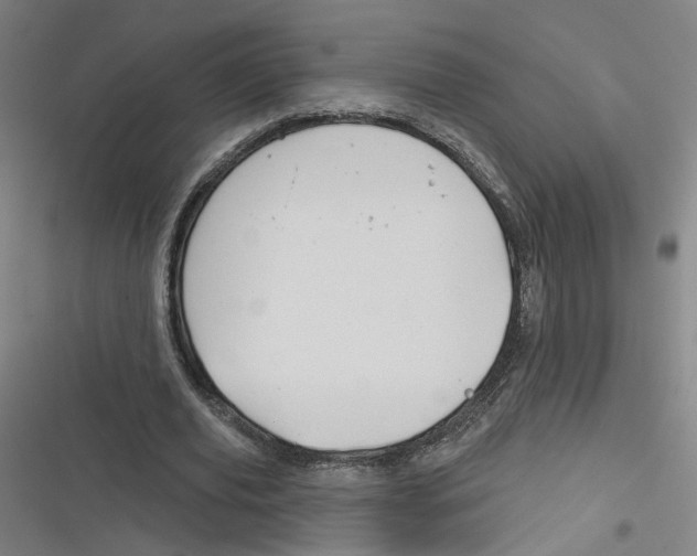 X0000116670629201001111311