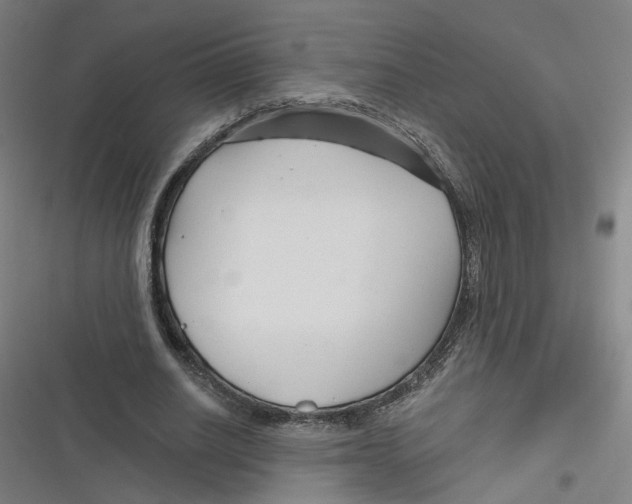 X0000116670630201001111311