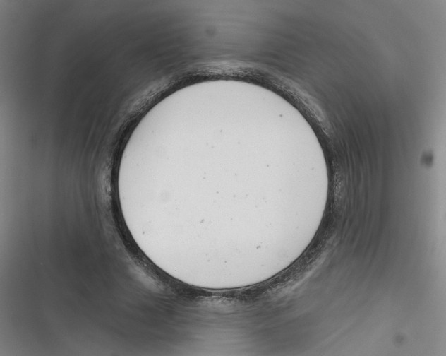 X0000116670633201001111311