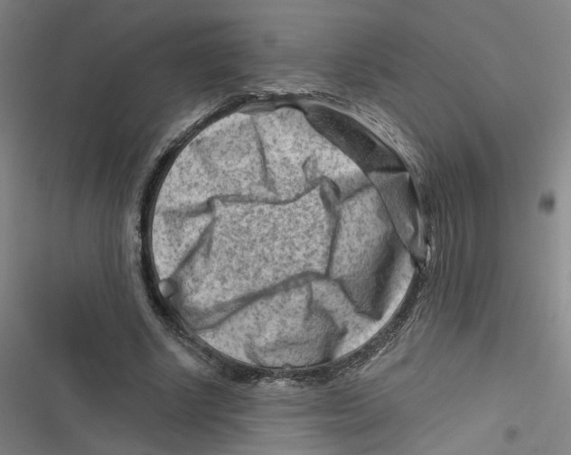 X0000116670634201001111311