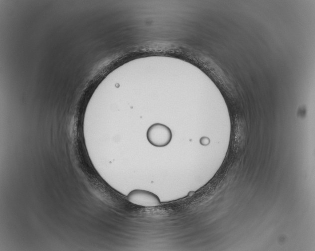 X0000116670636201001111311