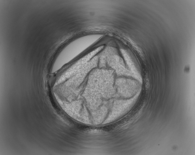 X0000116670637201001111311