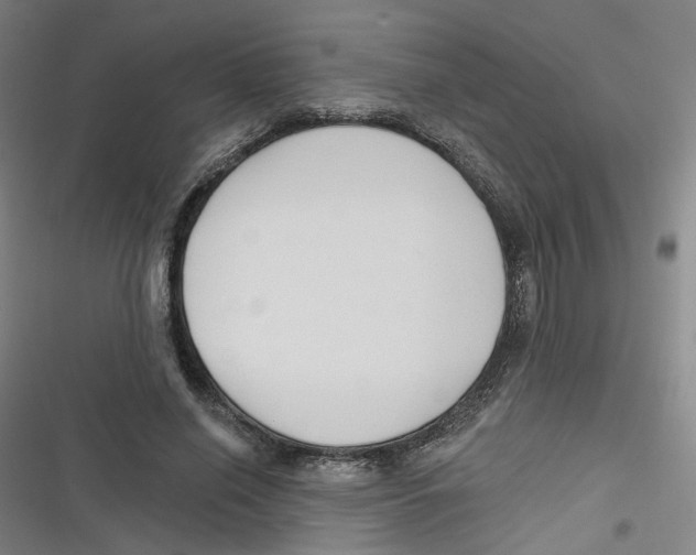 X0000116670638201001111311